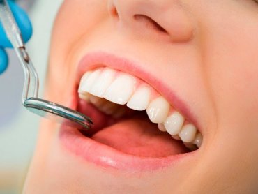 Ученые ДВФУ и их коллеги из РФ и Японии нашли клетки, ответственные за образование зубной ткани