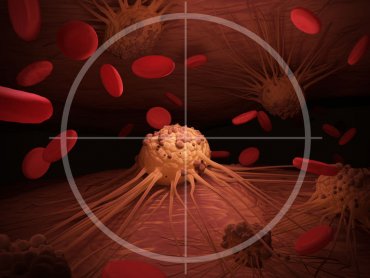 Ученые «сломали» защитный механизм стволовых клеток лейкемии